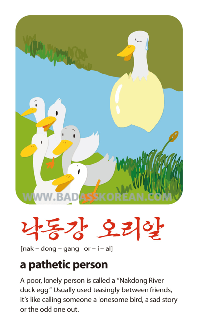 낙동강오리알 illustrated slang card