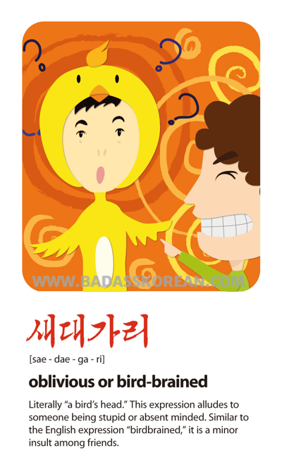 새대가리 illustrated slang card