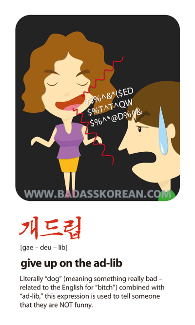 개드립 illustrated slang card